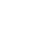 Rabbits Icon